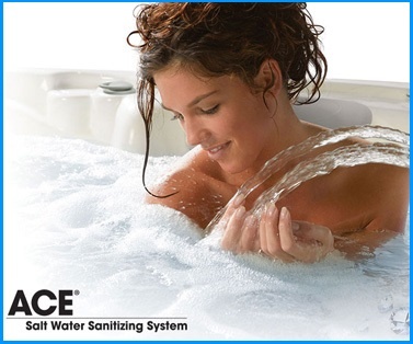 Ace Sanitizing