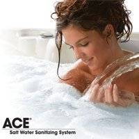 Ace Salt Water Sanitizing System